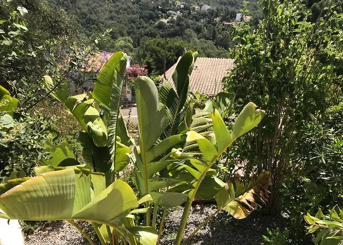 Zeezicht * Льорет-де-Мар