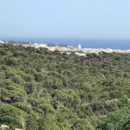 Willa Villa Zeezicht *