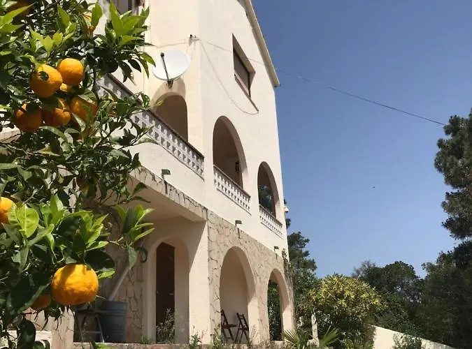 Zeezicht Lloret de Mar