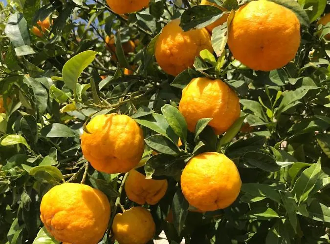 Zeezicht * Lloret de Mar